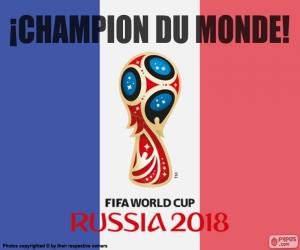 yapboz Fransa, 2018 Dünya şampiyonu